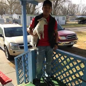 Meet your Posher, Roberth